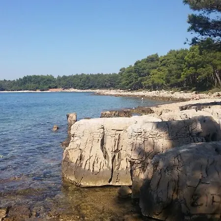 Daire Holiday Bakija *